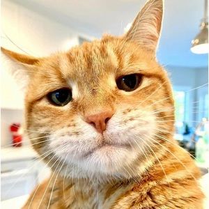 Meet your Posher, Djerry